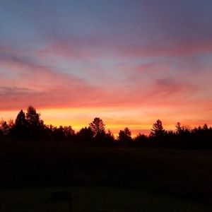 Meet your Posher, Richard